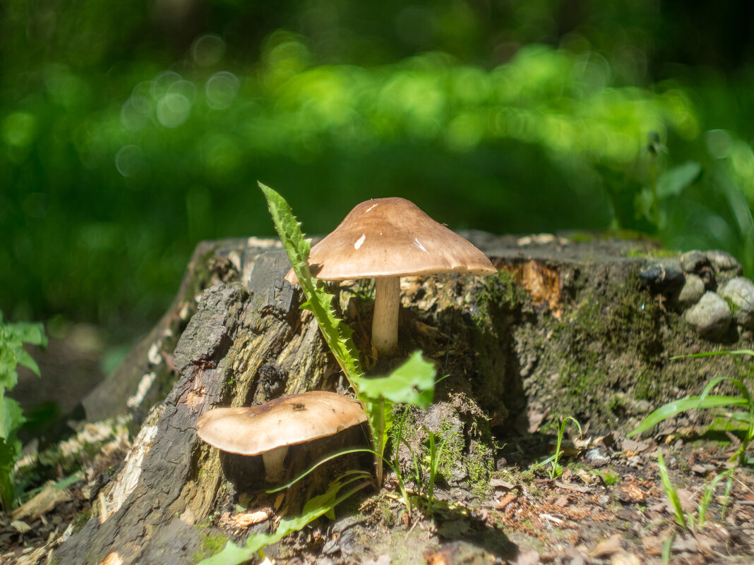 ___ - Yuriy V ___ - Yuriy V