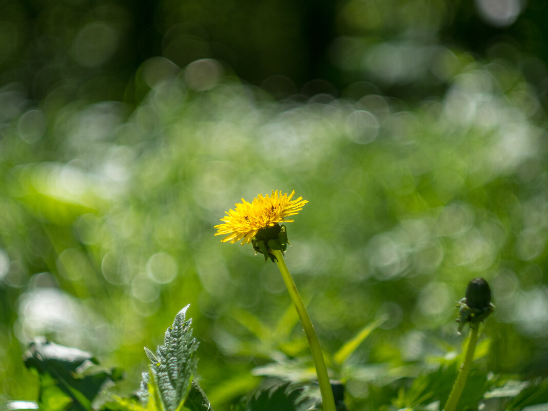 ___ - Yuriy V ___ - Yuriy V