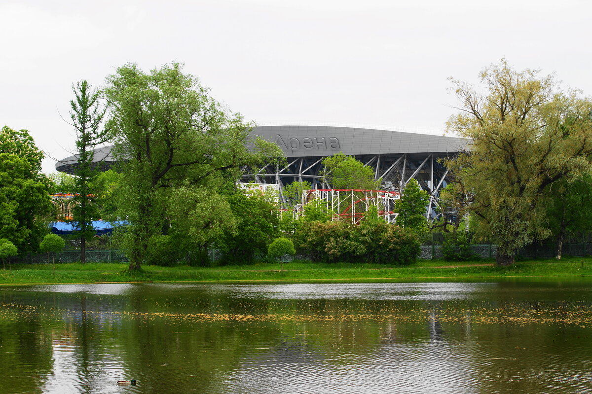 СКА Арена - Виктор Никитенко