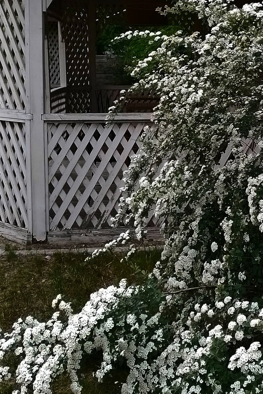 *** - Валентина Береснева