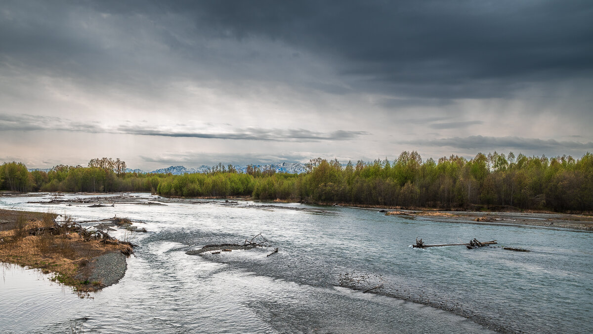... - Жора Житников