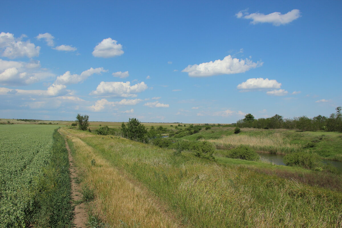 Мои дороги. - Виктор 