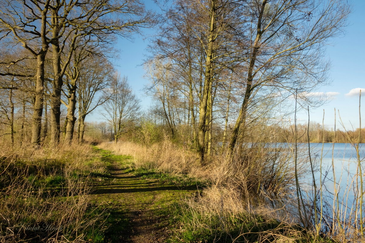 *** - Николай Гирш