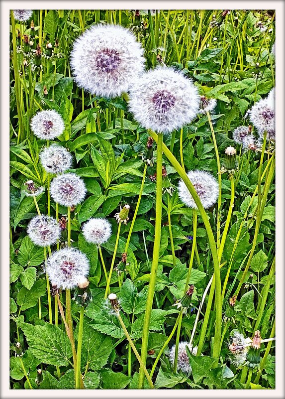 Близость. - Михаил Малец