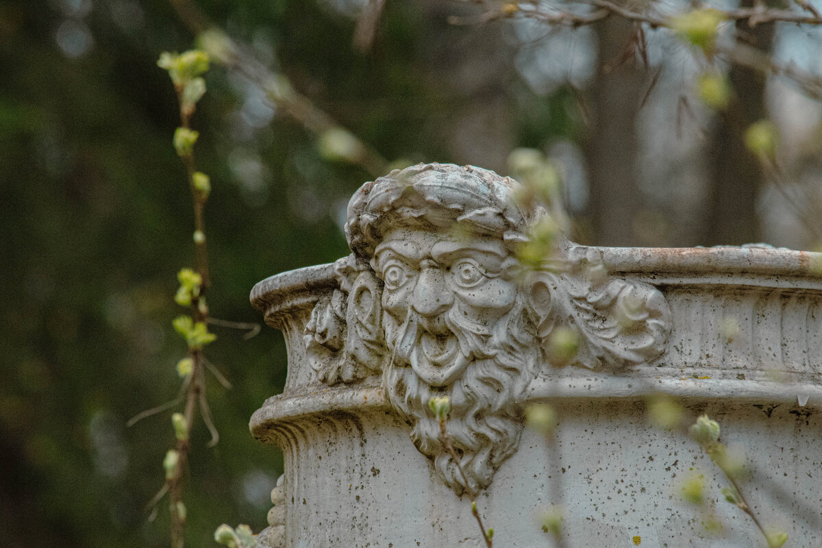 Павловск - Лана Пипякина Павловск - Лана Пипякина