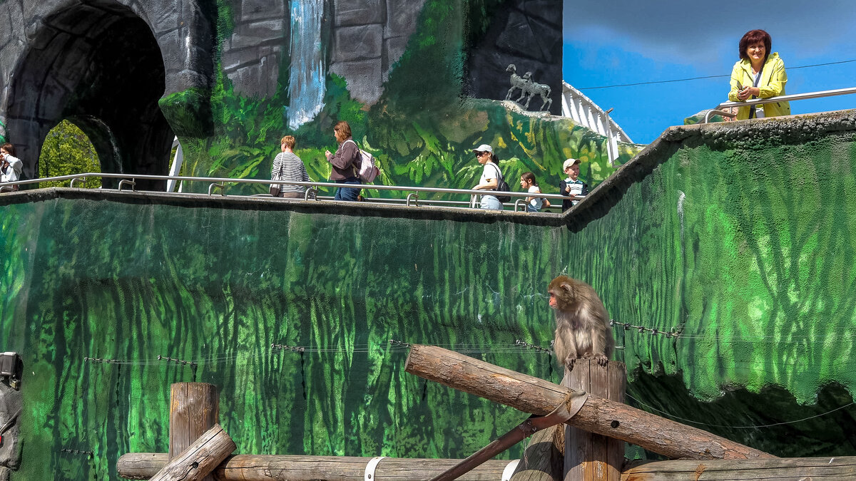 Зоопарк - юрий поляков