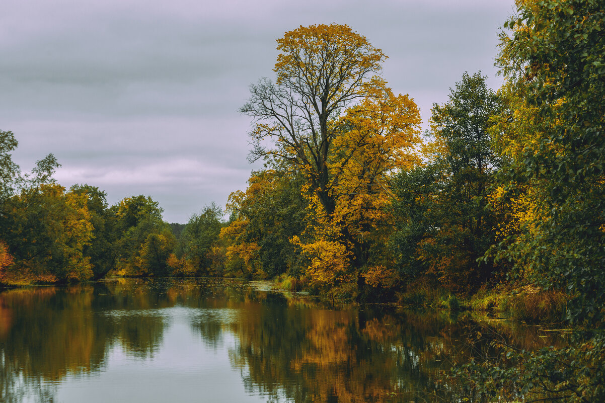 Начало осени. Где то во Владимирской области - Вячеслав Владимирович