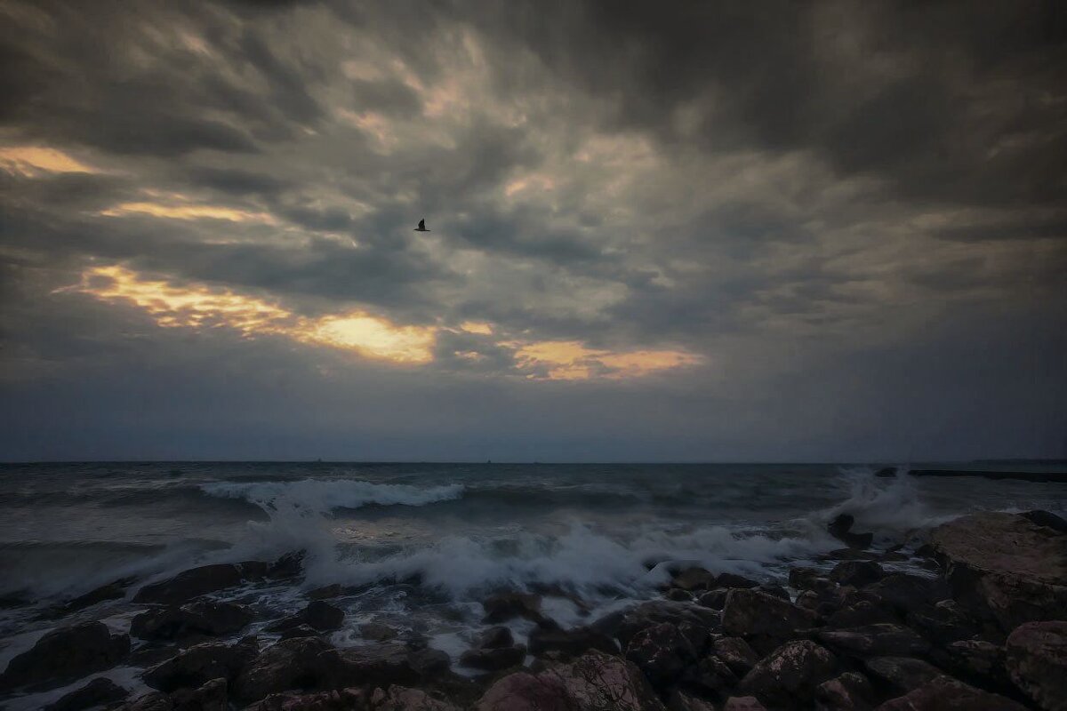 Прибой - Виктор 