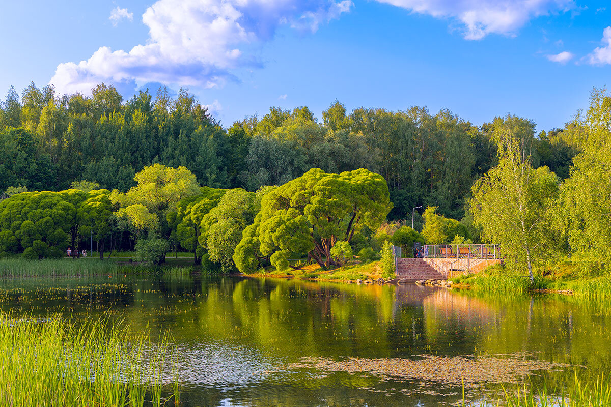 Вечер в парке - vladimir Б Вечер в парке - vladimir Б