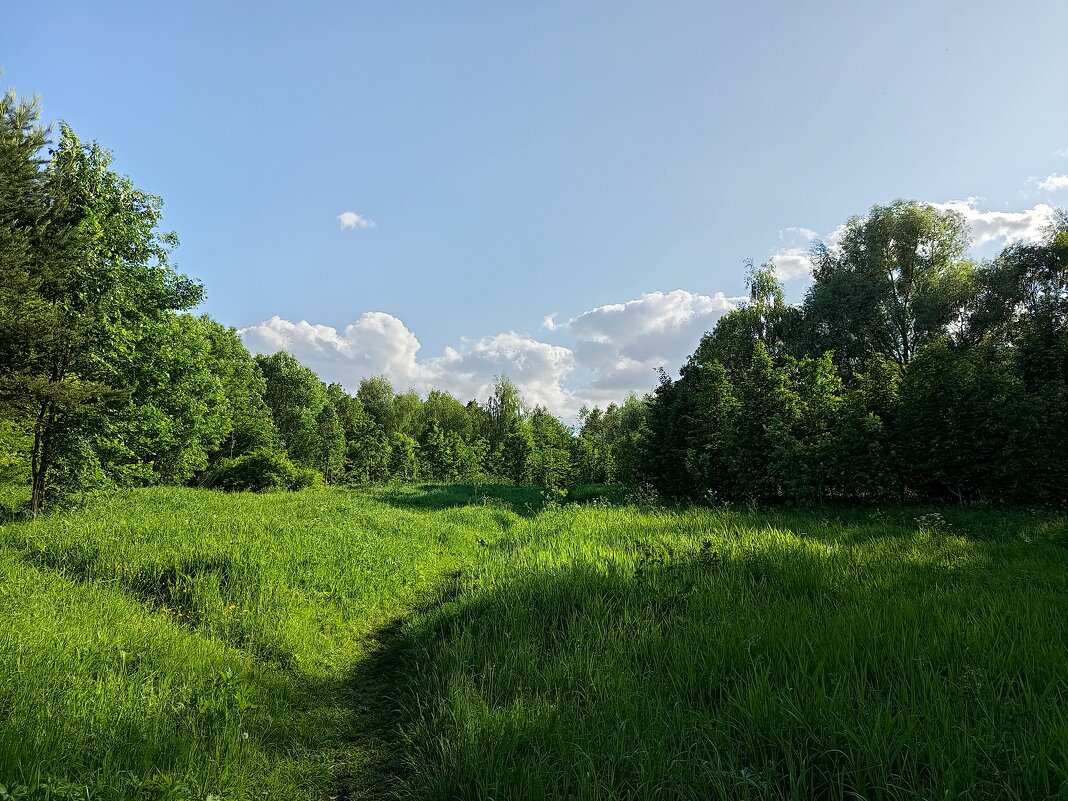 Разъиюнилось - Андрей Лукьянов Разъиюнилось - Андрей Лукьянов