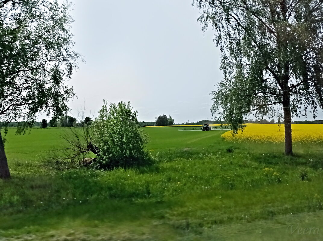 Далеко ли от Таллина ... - Veera V Далеко ли от Таллина ... - Veera V