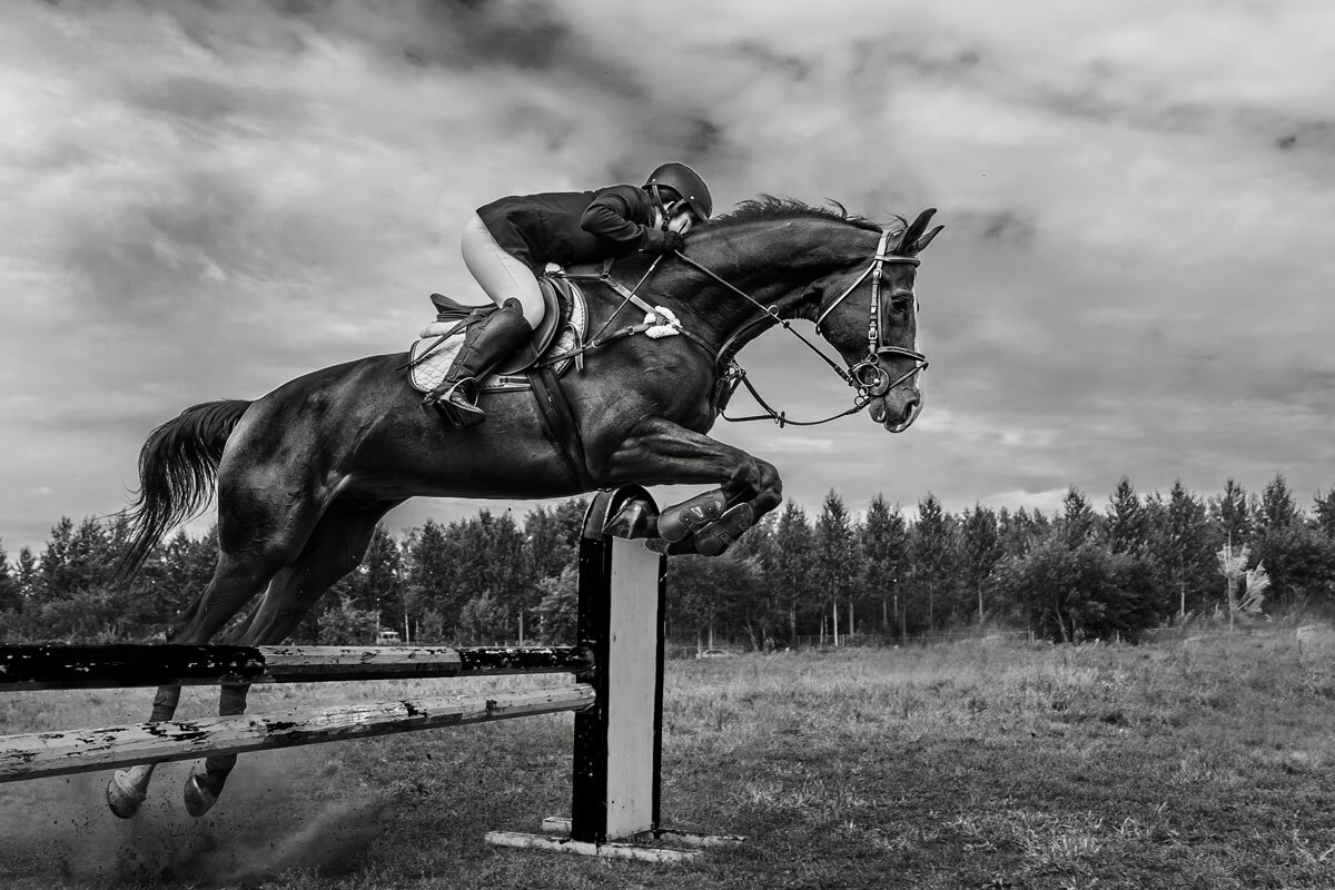 Конкур - SanSan 