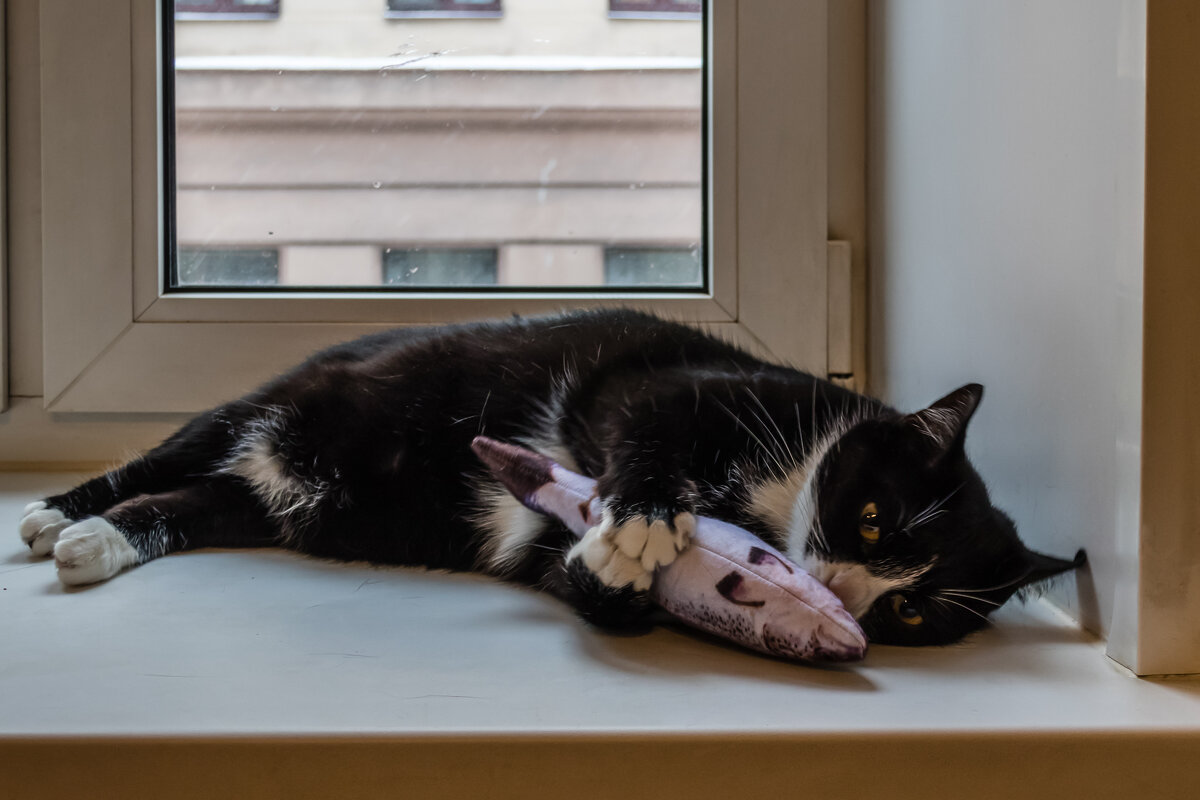 Рыбачка - Игорь Викторов Рыбачка - Игорь Викторов