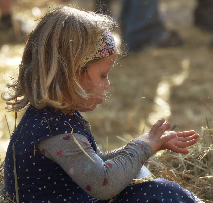 *** - Dan Berli *** - Dan Berli