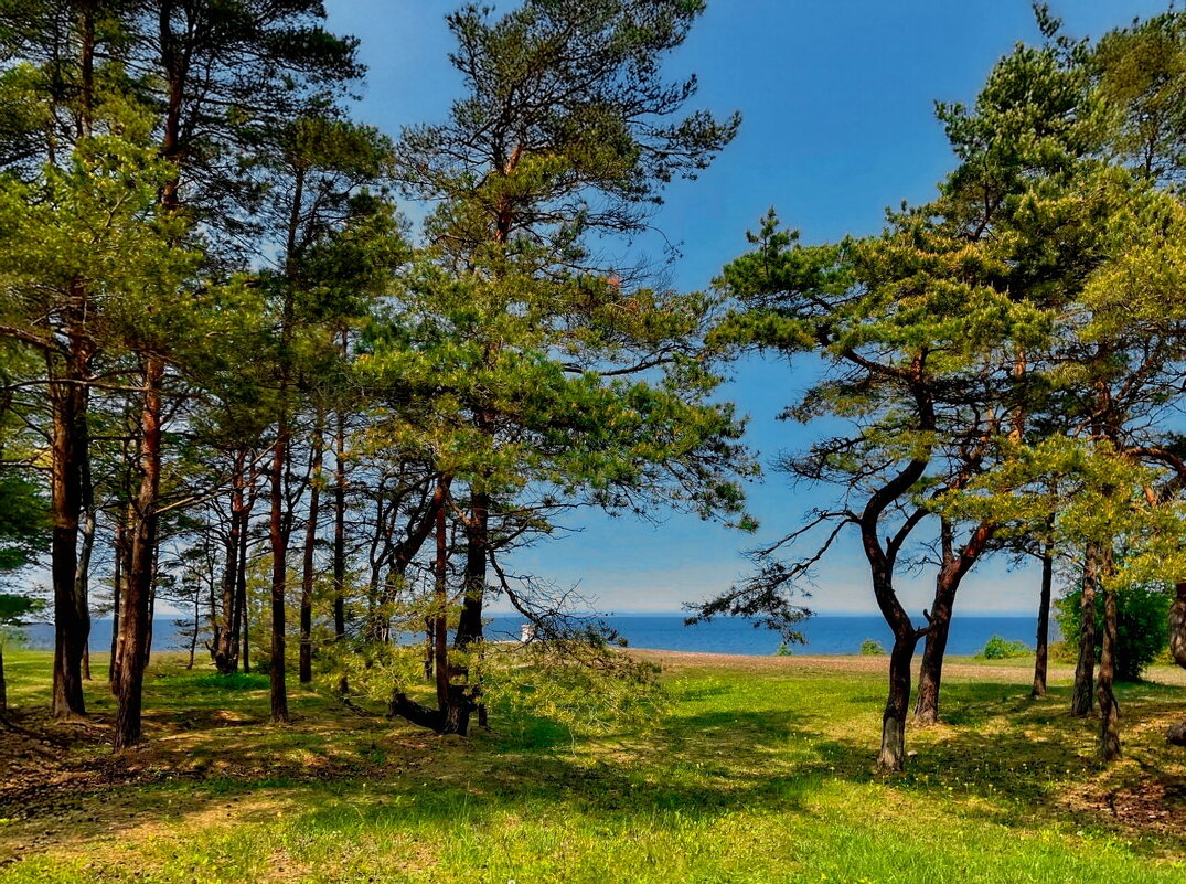 Saaremaa 010625 3m - Arturs Ancans