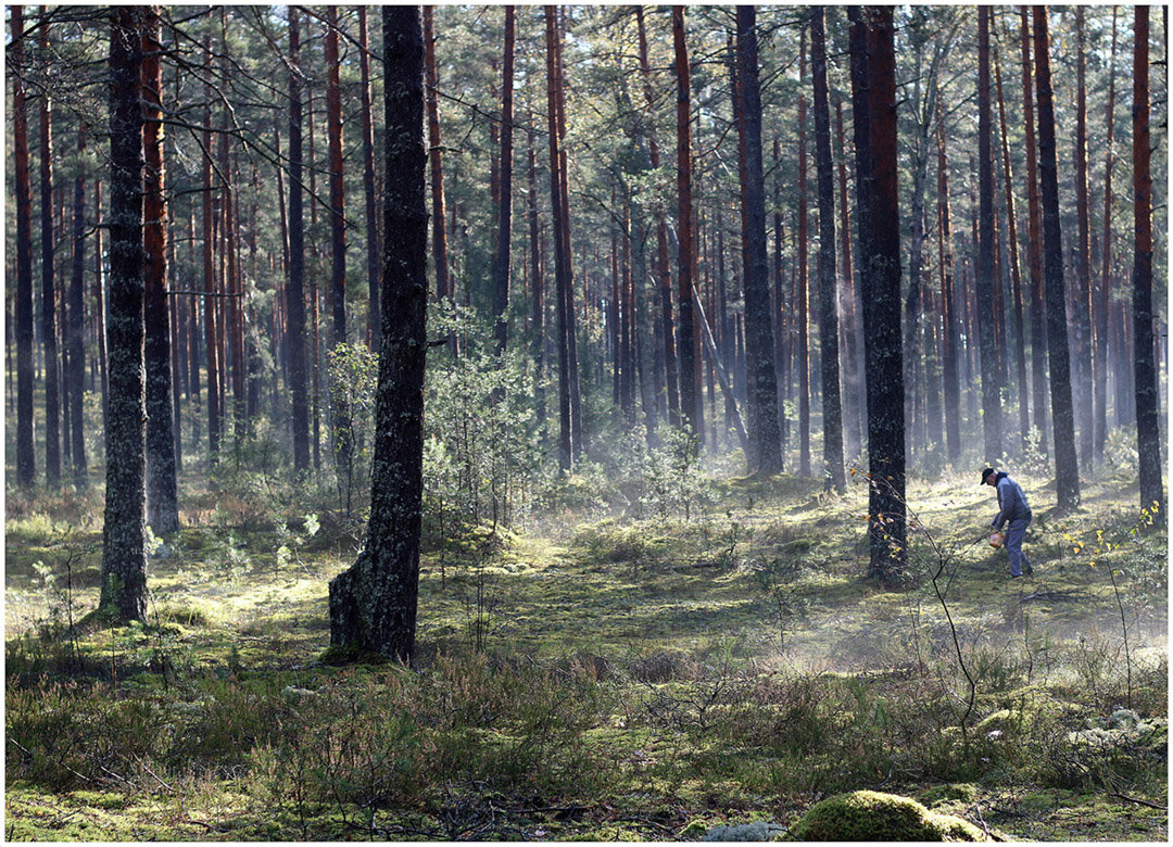 Тихая охота..... - Aleksandr Gal