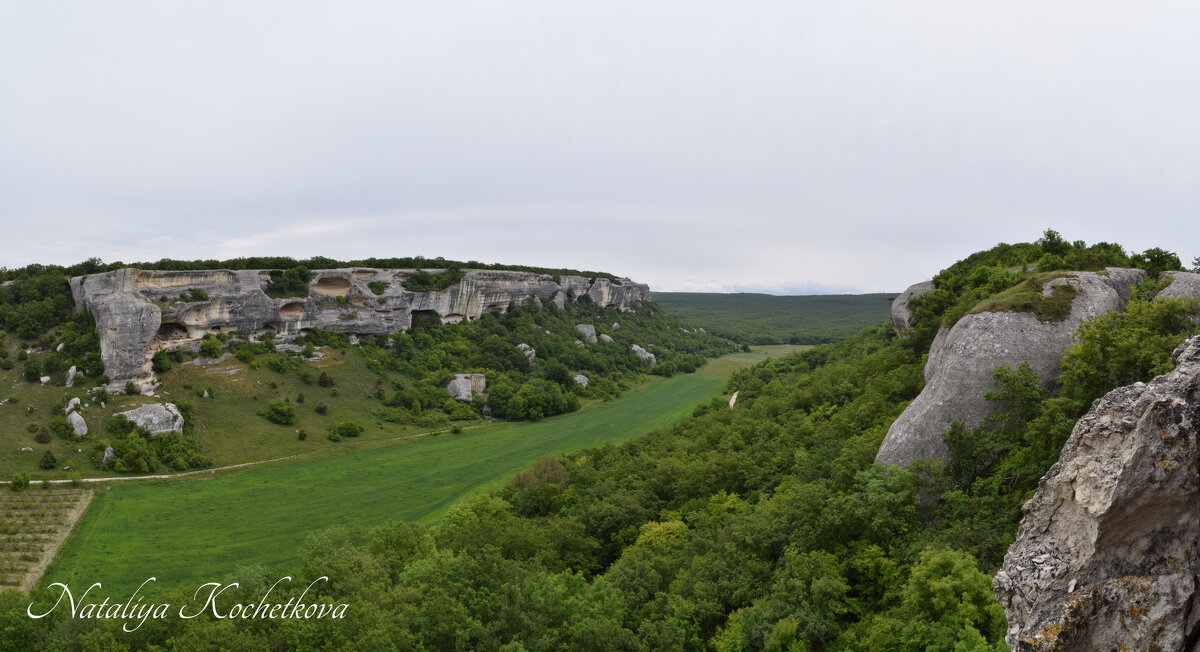 Природа Крыма - Amazing Cosmea Природа Крыма - Amazing Cosmea
