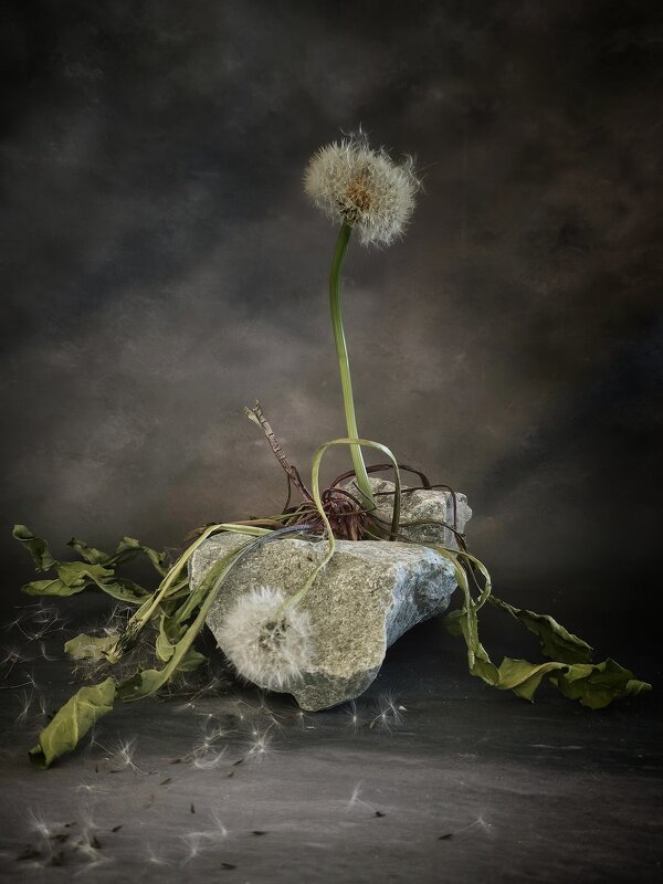 Уставший путник присел на камень... - Галина Левина Уставший путник присел на камень... - Галина Левина