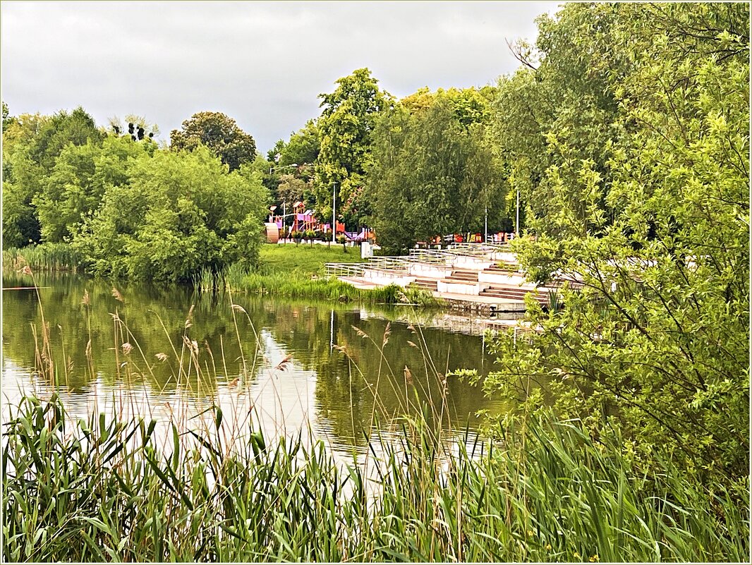 На Летнем озере. - Валерия Комова На Летнем озере. - Валерия Комова