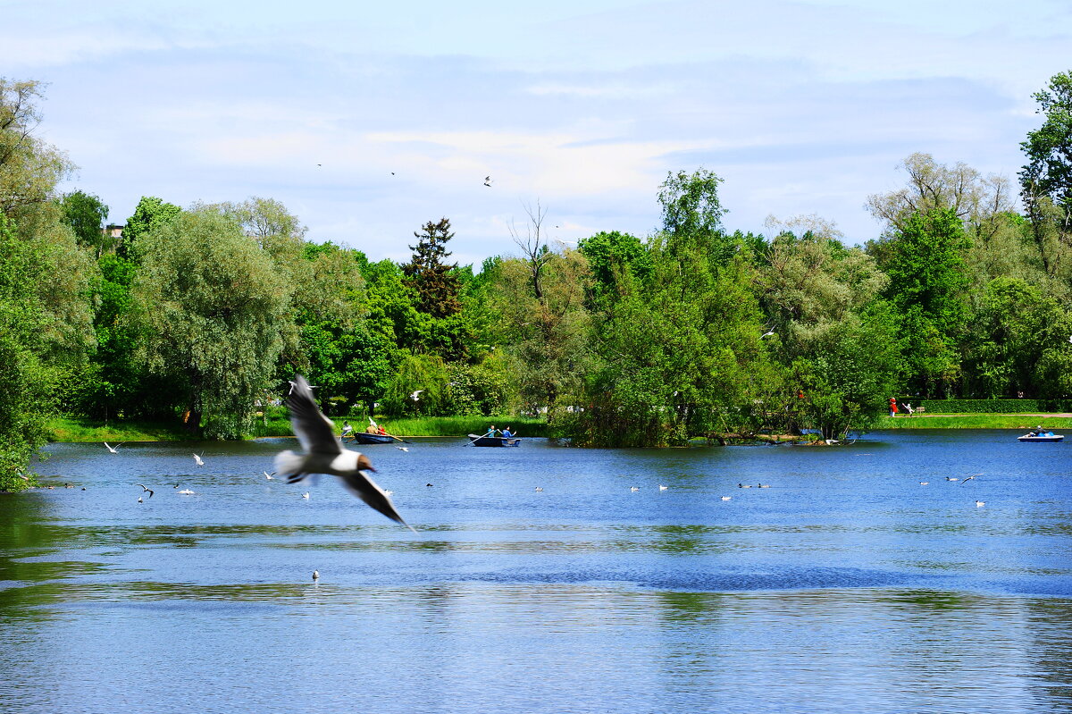 Парк Победы - Виктор Никитенко Парк Победы - Виктор Никитенко
