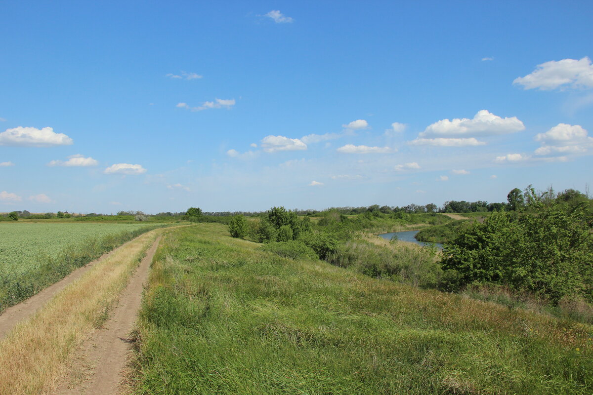 Мои дороги. - Виктор 