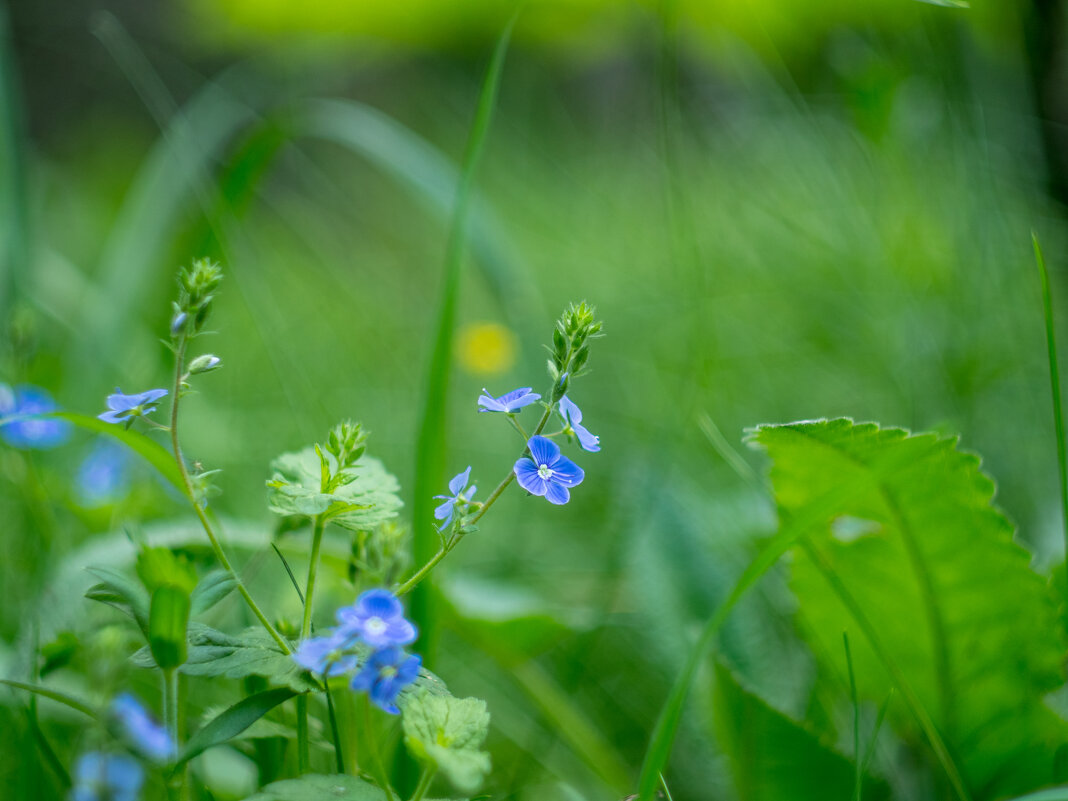 ___ - Yuriy V ___ - Yuriy V