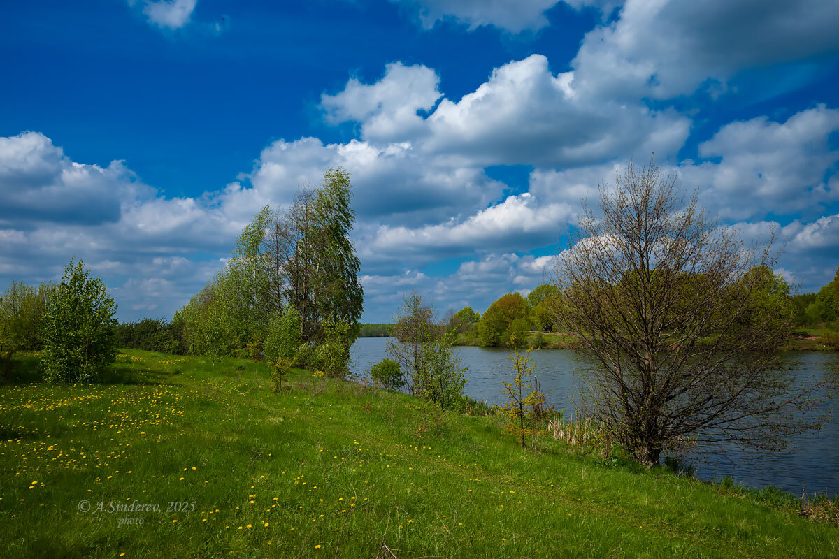 Май на озере - Александр Синдерёв Май на озере - Александр Синдерёв