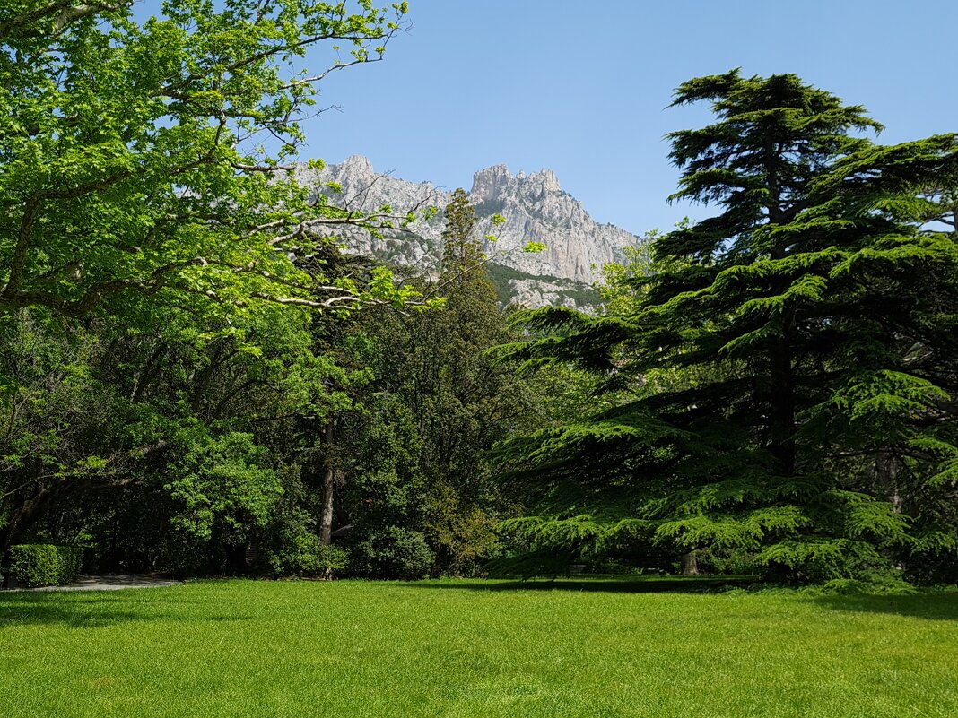 Воронцовский парк - Валерий Ткаченко Воронцовский парк - Валерий Ткаченко