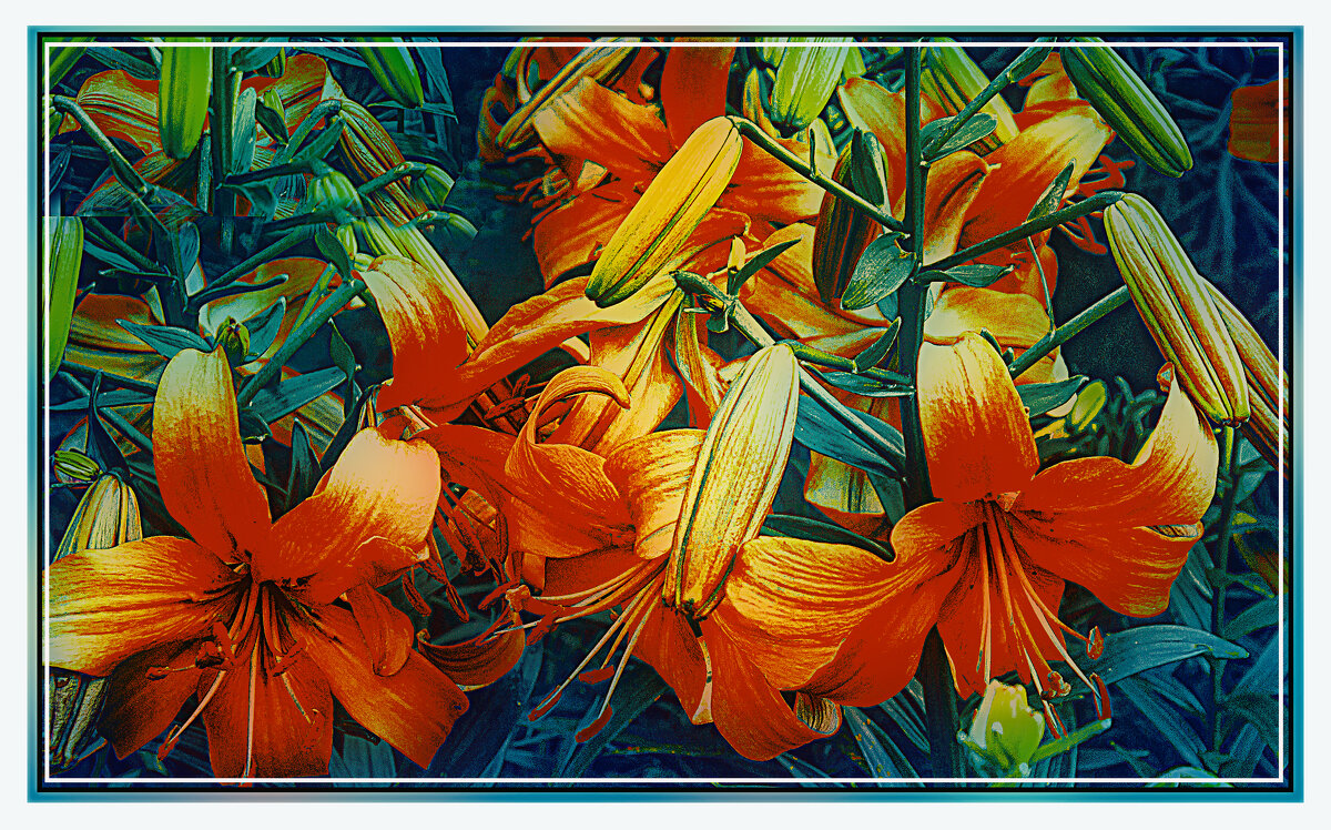 Цветение - Владимир Кроливец