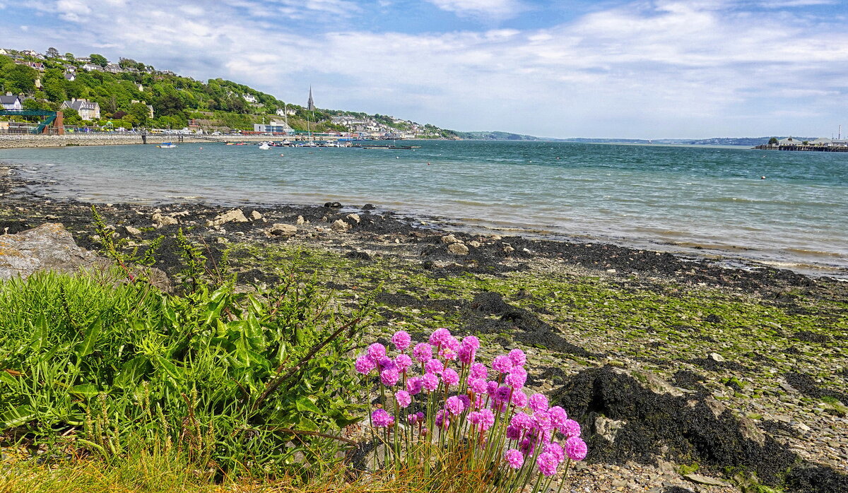 Гуляя по Ирландии - Elena Ророva Гуляя по Ирландии - Elena Ророva