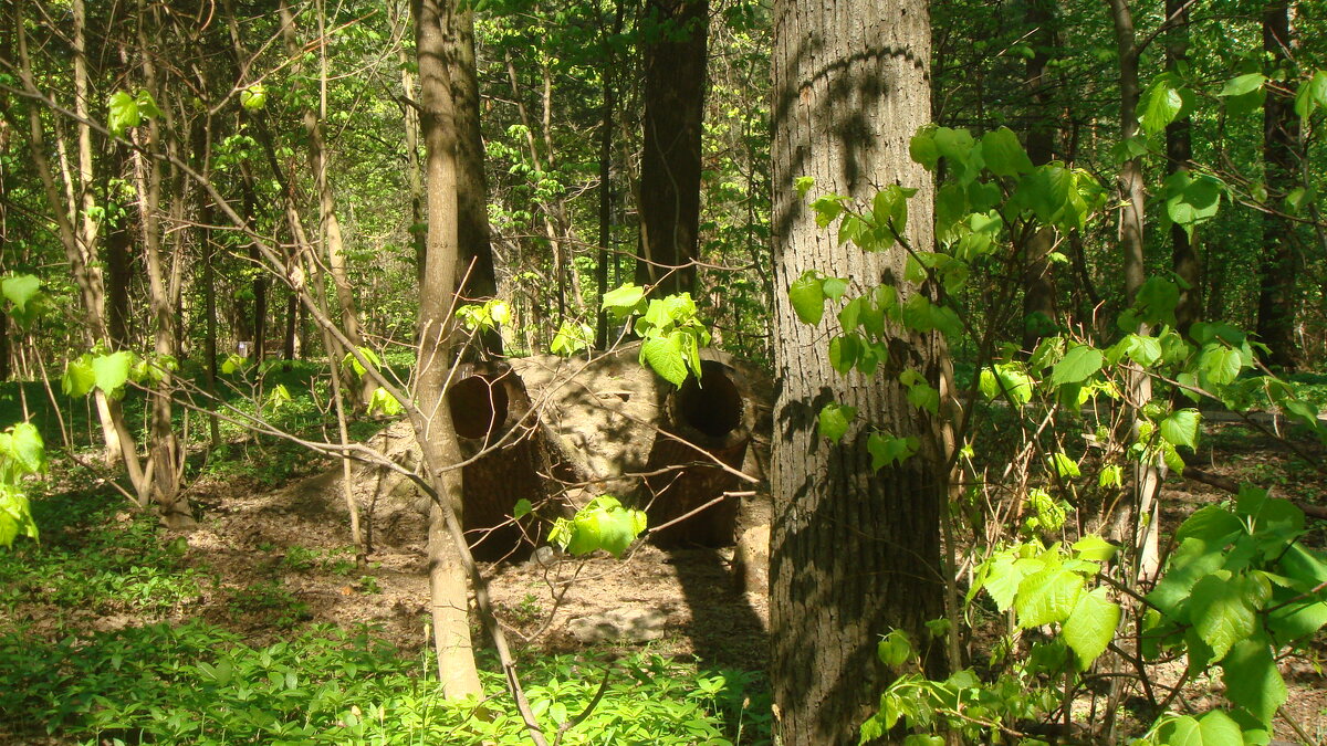 Там леший бродит... - Галина 