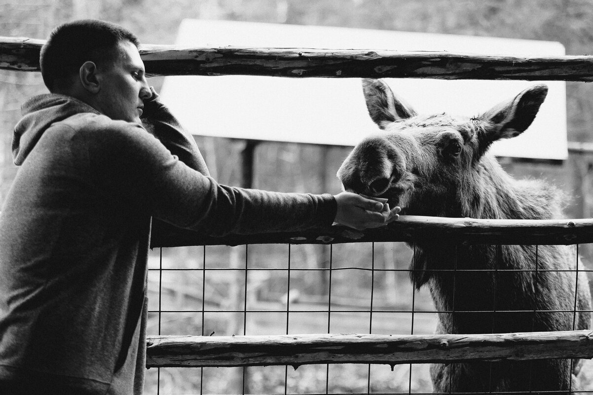 Новый друг - Дмитрий Стёпин