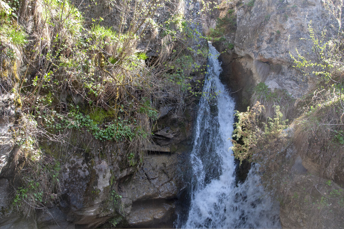 Медовые водопады - Gen 