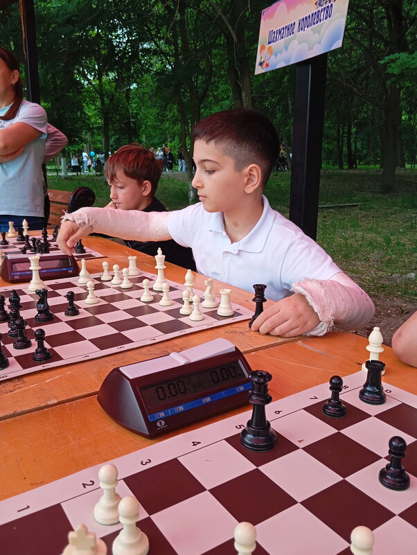 Даже падение с высокого забора не может уменьшить стремление к шахматам... - Константин Штарк