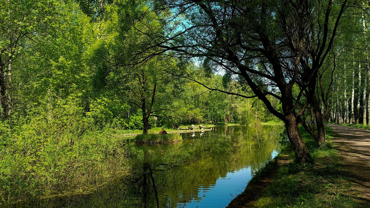 Лето на Путяевских прудах. - Василий Ярославцев Лето на Путяевских прудах. - Василий Ярославцев