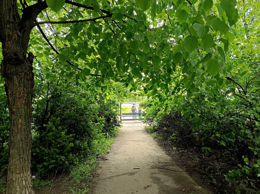 Входим в лето! - Мария Васильева Входим в лето! - Мария Васильева