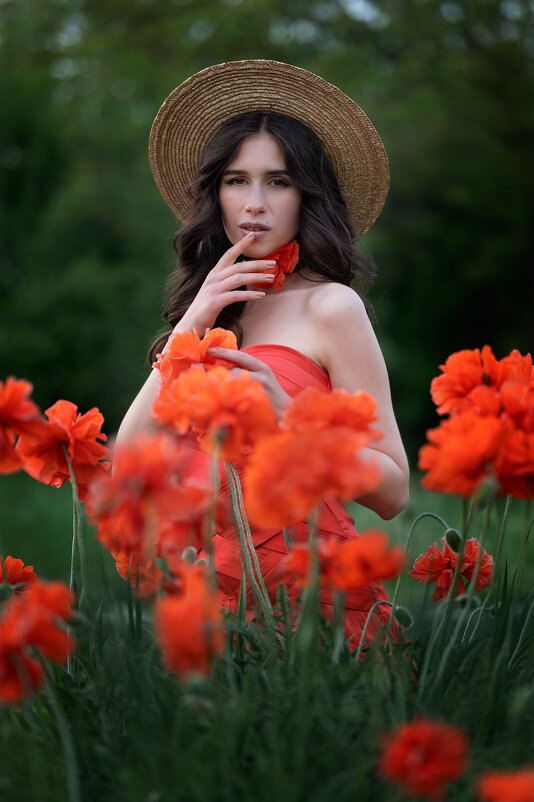 *** - Viktoria Anufrieva *** - Viktoria Anufrieva