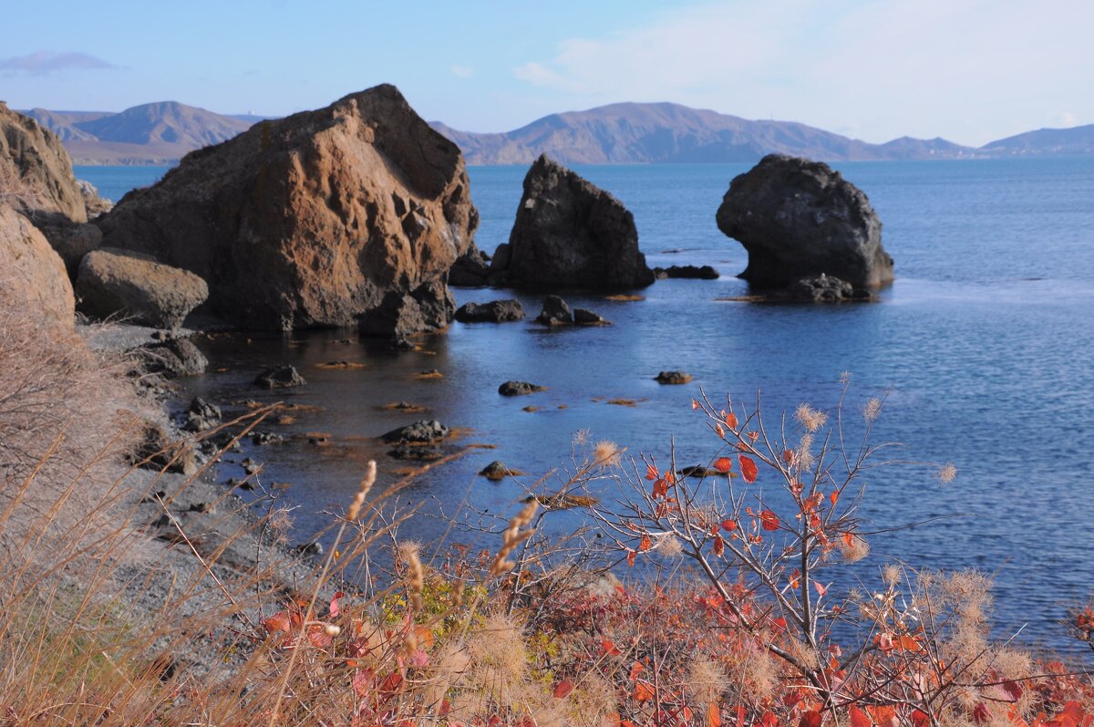 Лягушачья бухта - Николай Алексеенко