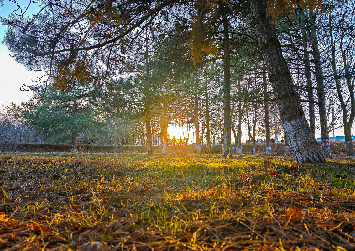 На закате. - Сергей Гибков