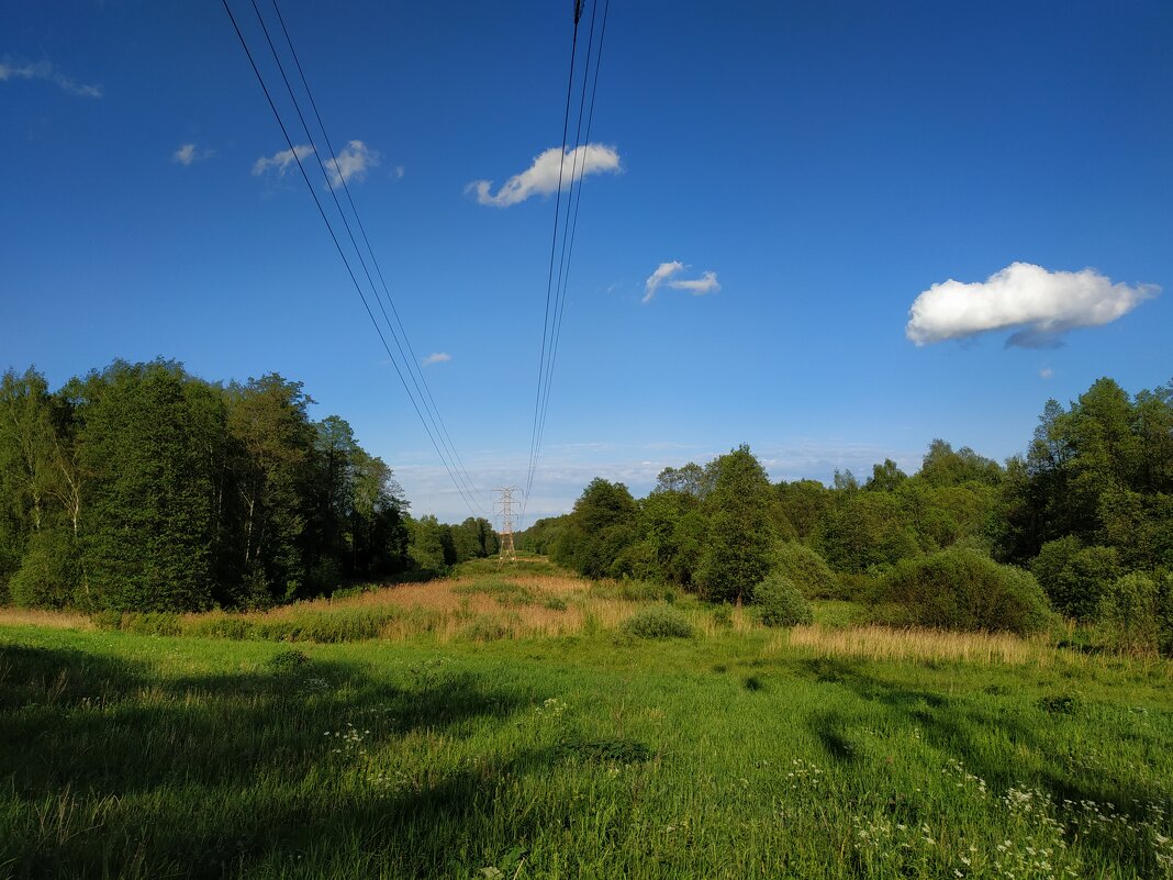 Из того, что успел недопоказать в июне - Андрей Лукьянов Из того, что успел недопоказать в июне - Андрей Лукьянов