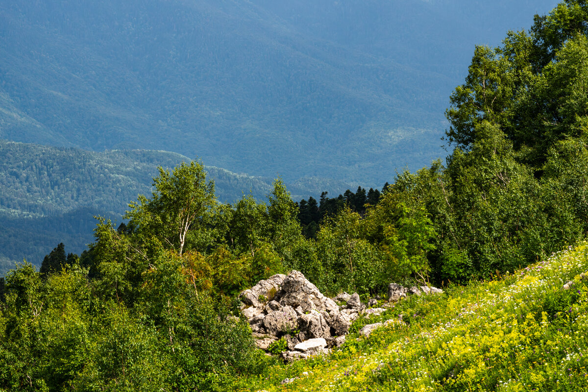 Адыгея - Игорь Сикорский