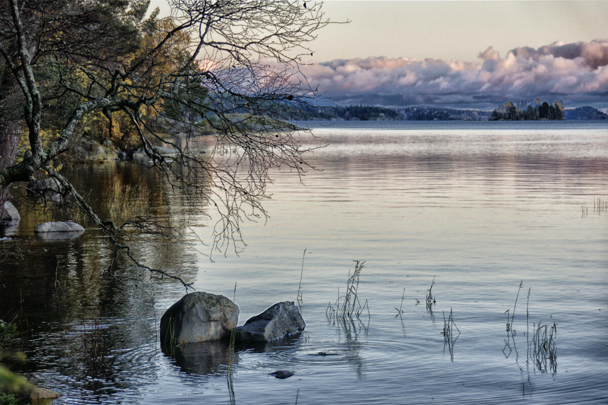 на закате - Ольга Cоломатина