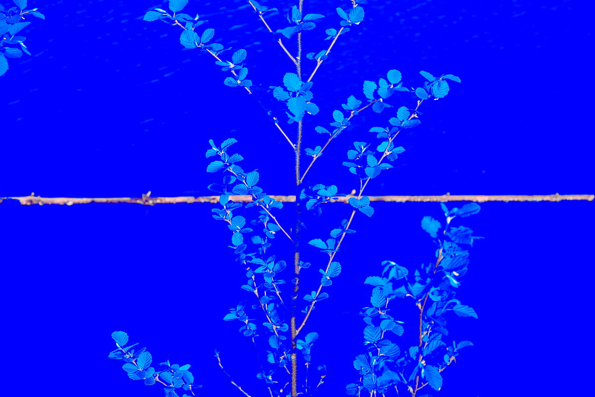 Назва. отсу. - Денис Безногов