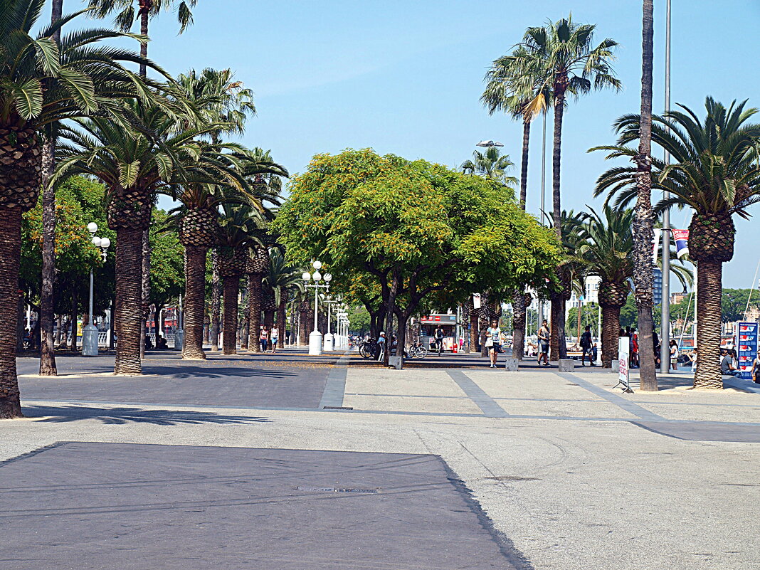 Барселона. - Владимир Драгунский Барселона. - Владимир Драгунский
