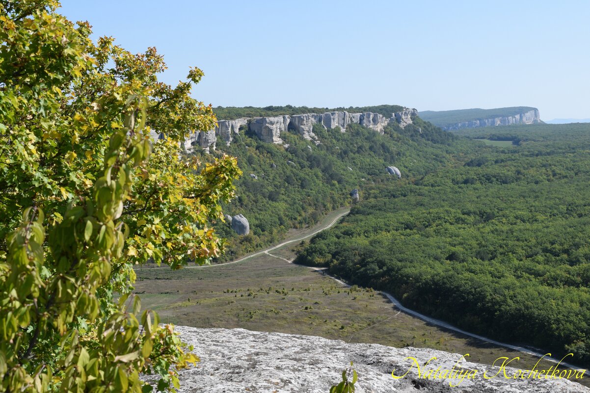 Природа Крыма - Amazing Cosmea Природа Крыма - Amazing Cosmea