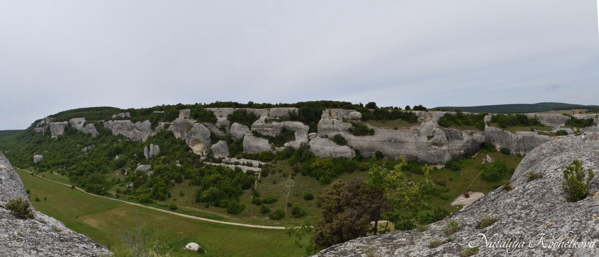 Природа Крыма - Amazing Cosmea