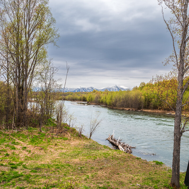 ... - Жора Житников ... - Жора Житников