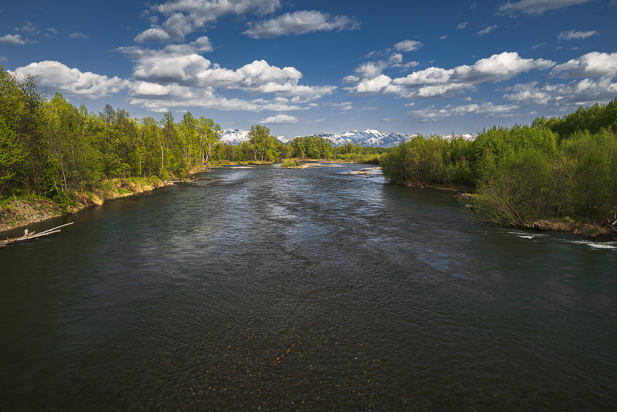 ... - Жора Житников ... - Жора Житников