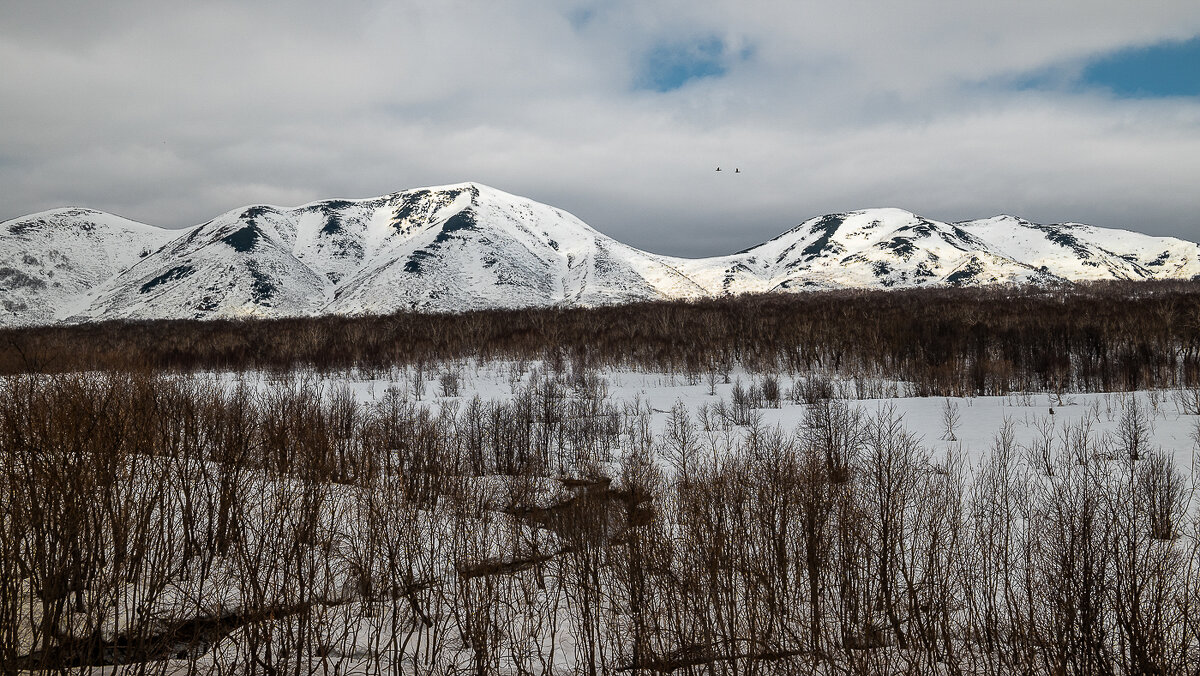 ... - Жора Житников