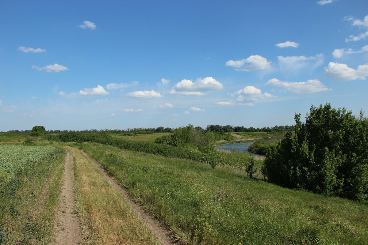 Мои дороги. - Виктор 